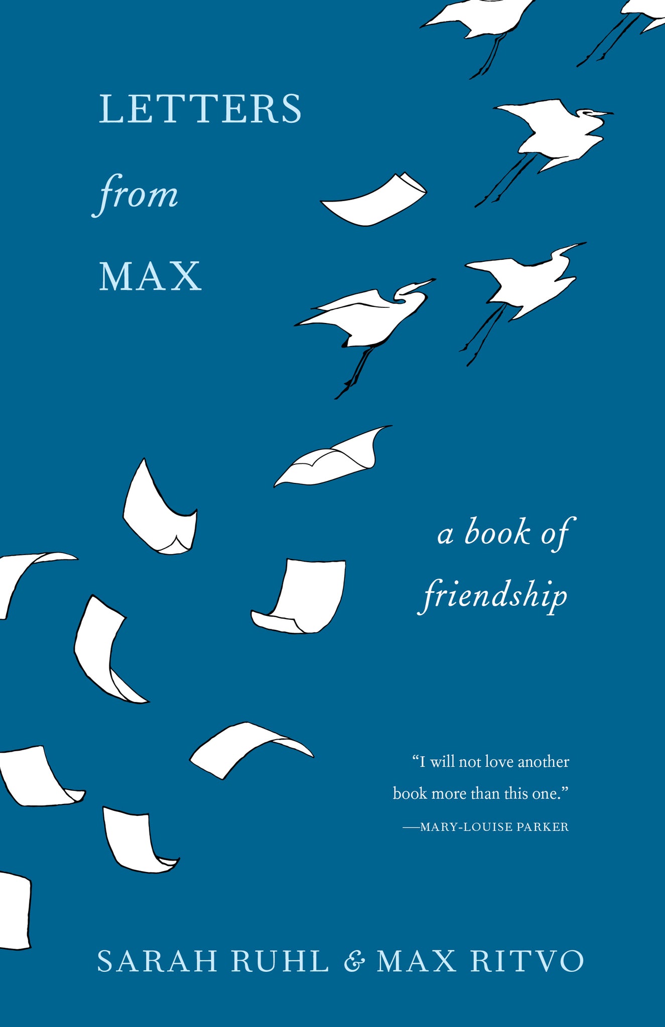 Cover image for Letters from Max ISBN 9781571313690